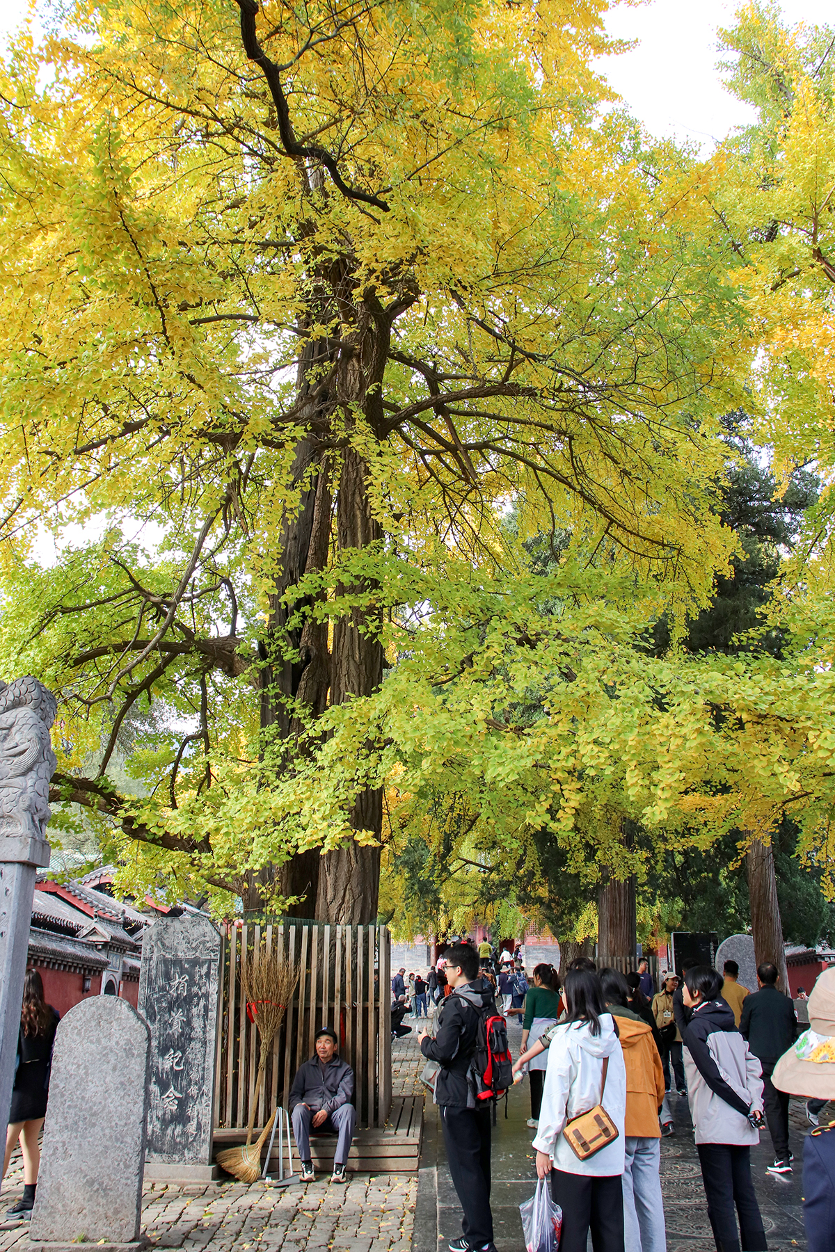 少林寺 参考图 1